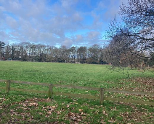 link to Local Information